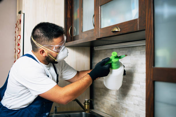 Best Pest Removal Services  in Bryn Athyn, PA