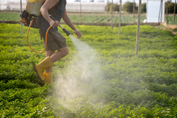Best Ant Control Services  in Bryn Athyn, PA