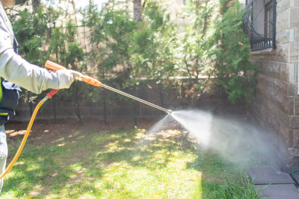 Best Wasp Removal Services  in Bryn Athyn, PA