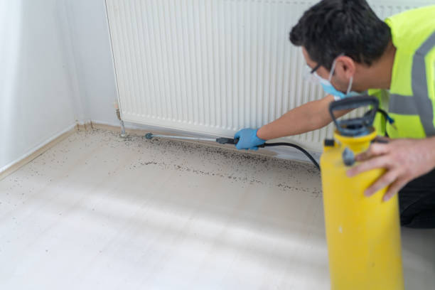 Best Emergency Pest Control  in Bryn Athyn, PA